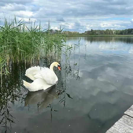 Nad Jeziorem Z Wlasnym Pomostem * Zaleze (Pyrzyce)